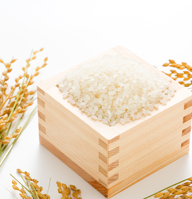 1.お米の卸し・仕入れ
全国の契約農家や市場と提携し、高品質なお米を安定供給。品種や産地にこだわり、飲食店や食品メーカー向けに最適な選択肢を提供しています。徹底した品質管理のもと、新鮮で美味しいお米を届けることで、食の安全と持続可能な流通を支えています。